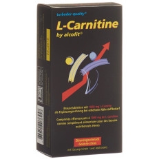 L Carnitine By Alcofit Brausetablette 1000 mg Carnitin