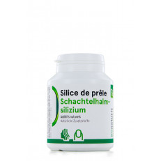 Schachtelhalmsilizium Kapsel 220 mg