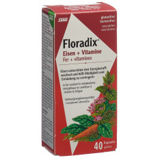 Salus Floradix Eisen + Vitamine Kapsel #