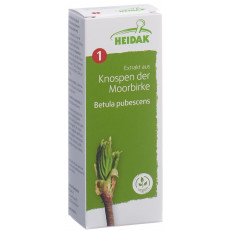 HEIDAK Knospe Moorbirke Betula pubescens Glyc Maz