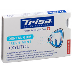 Trisa Dental Gum Fresh Mint