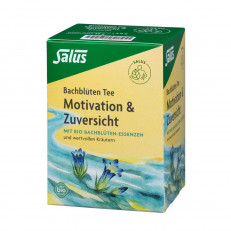 Salus Bachblüten Tee Motivation & Zuversicht Bio