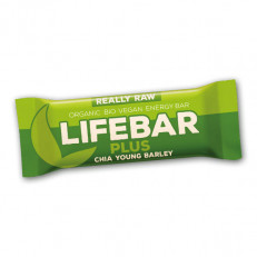 Lifefood Bio Lifebar Apfel glutenfrei